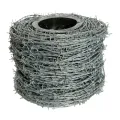 Hot-Dipped Galvanized Barbed Wire for Retail